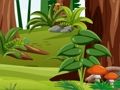 Gioco Animali nascosti  in linea
