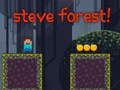 Gioco Steve Foresta  in linea