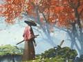 Gioco Riflessione samurai  in linea