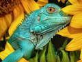 Gioco Ultimate Puzzle Animali 6  in linea