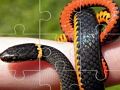 Gioco Puzzle dei serpenti  in linea