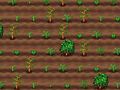 Gioco Macchina per il tè  in linea