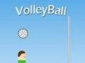 Gioco Pallavolo  in linea