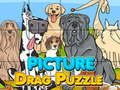 Gioco Puzzle di trascinamento dell'immagine  in linea
