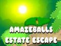 Gioco Fuga dalla proprietà di Amazeballs  in linea