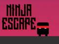 Gioco Fuga ninja  in linea