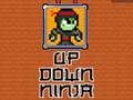 Gioco Su Giù Ninja  in linea