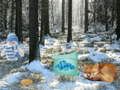 Gioco Avventura nella foresta del paese delle meraviglie invernali  in linea