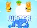 Gioco Corsa all'acqua  in linea