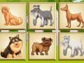 Gioco Memoria dei cani  in linea