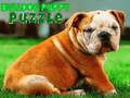 Gioco Puzzle del cucciolo di Bulldog  in linea