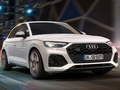 Gioco Diapositiva Audi SQ5 TDI  in linea