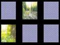 Gioco Memoria della natura  in linea