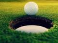 Gioco Maestri di golf!  in linea