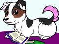 Gioco Scivolo per animali domestici  in linea