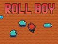 Gioco Rotolo ragazzo  in linea