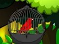 Gioco Salva l'uccello della gabbia  in linea