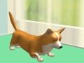 Gioco Cura degli animali  in linea