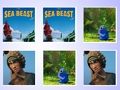 Gioco La partita della scheda di memoria Sea Beast  in linea