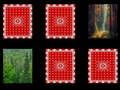 Gioco Memoria del bosco  in linea