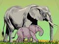 Gioco Animali selvatici e i loro bambini  in linea