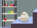 Gioco Dual Cat di Schrödinger  in linea
