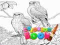 Gioco Libro da colorare per adulti  in linea