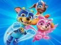 Gioco Libro da colorare per Paw Patrol  in linea