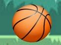 Gioco Pallacanestro  in linea