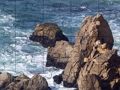Gioco Puzzle quotidiano  in linea