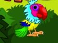 Gioco Fuga di una coppia di pappagalli 2  in linea