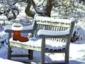 Gioco Fuga Natale dal giardino  in linea