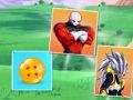 Gioco Schede delle partite di DragonBall  in linea