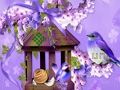 Gioco Meraviglioso Humming Bird Land Escape  in linea