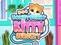 Gioco Doc HoneyBerry Kitty Chirurgia  in linea