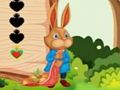 Gioco Fuga dello scoiattolo  in linea