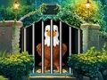 Gioco Fuga dell'aquila impavida  in linea