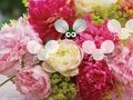Gioco Pretty Blossom Wallpaper Fuga  in linea
