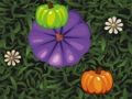 Gioco Corrispondenza colore zucca  in linea