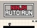 Gioco Corsa automatica Ninja  in linea