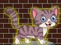 Gioco Fuga adorabile del piccolo gatto  in linea