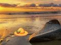 Gioco Fuga da Sunset Beach  in linea