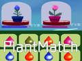 Gioco Fiammifero vegetale  in linea