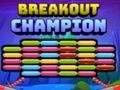 Gioco Campione di evasione  in linea