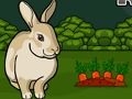 Gioco Salva il coniglio grigio  in linea
