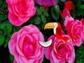 Gioco Preziosa fuga di rose  in linea