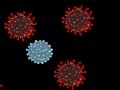 Gioco Uccidi il virus  in linea