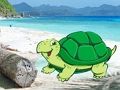 Gioco Fuga della coppia di granchi sulla spiaggia  in linea