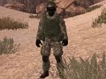 Gioco Soldato della Patria: Sahara  in linea