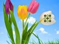 Gioco Fuga dal prato fiorito  in linea